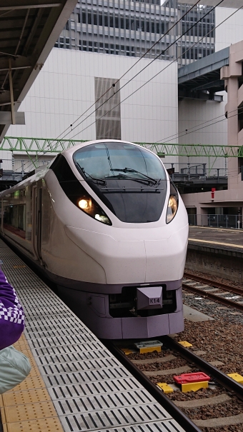 仙台駅から品川駅の乗車記録(乗りつぶし)写真