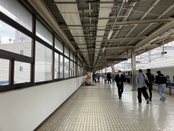 小田原駅から浜松駅:鉄道乗車記録の写真