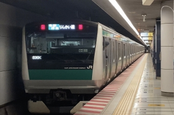 大崎駅から東京テレポート駅の乗車記録(乗りつぶし)写真