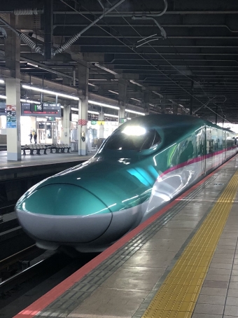 小山駅から新潟駅の乗車記録(乗りつぶし)写真