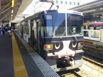 長津田駅からこどもの国駅の乗車記録(乗りつぶし)写真