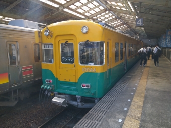 大泉駅から電鉄富山駅の乗車記録(乗りつぶし)写真
