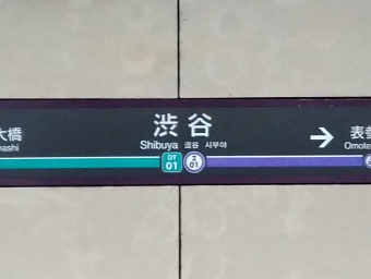 渋谷駅から押上駅の乗車記録(乗りつぶし)写真