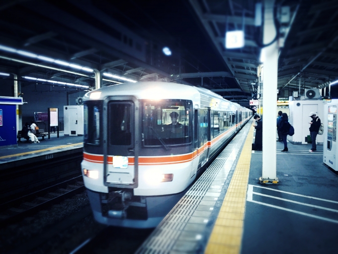 鉄道乗車記録の写真:乗車した列車(外観)(1)     「静岡から乗車しました「ホームライナー」は浜松からそのまま豊橋行きの普通列車となりました。」