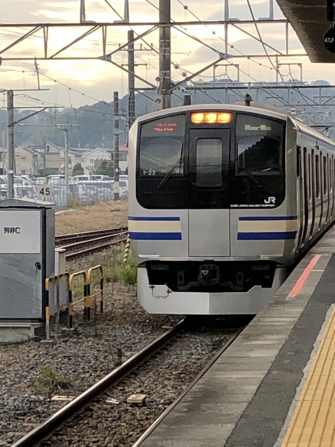 鉄道乗車記録の写真:乗車した列車(外観)(1)        「E217。」