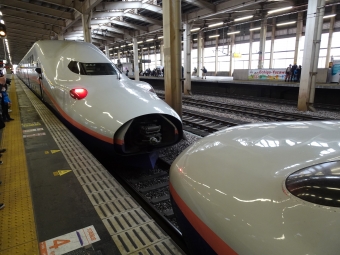 越後湯沢駅からガーラ湯沢駅の乗車記録(乗りつぶし)写真