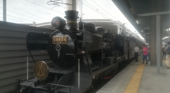 熊本駅から新八代駅:鉄道乗車記録の写真