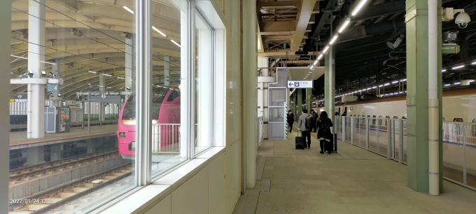 鉄道乗車記録の写真:駅舎・駅施設、様子(3)        「上越新幹線からいなほへの乗換は、専用連絡改札があり、とても便利!」