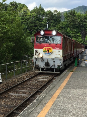奥大井湖上駅から千頭駅の乗車記録(乗りつぶし)写真