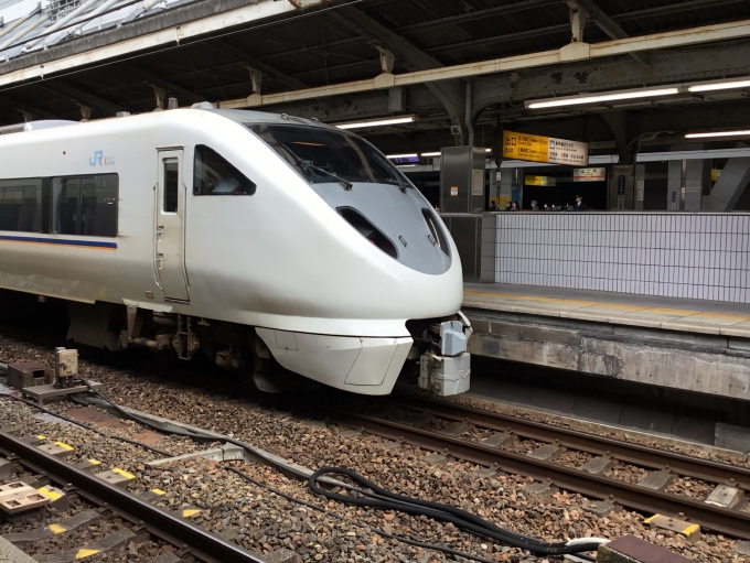 鉄道乗車記録の写真:列車・車両の様子(未乗車)(2)        「JR西日本列車ですしらさぎさんに会いました」