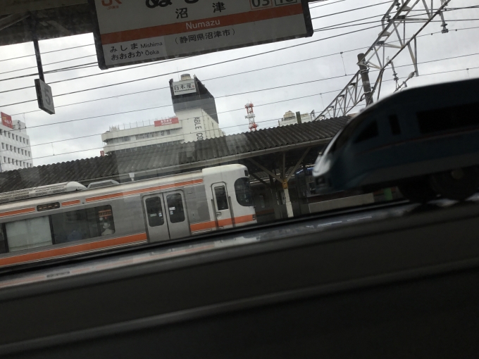 鉄道乗車記録の写真:車窓・風景(1)        「御殿場線でMSEちゃんとオレンジ
でもMSEちゃんは暗くなってしまったwww」