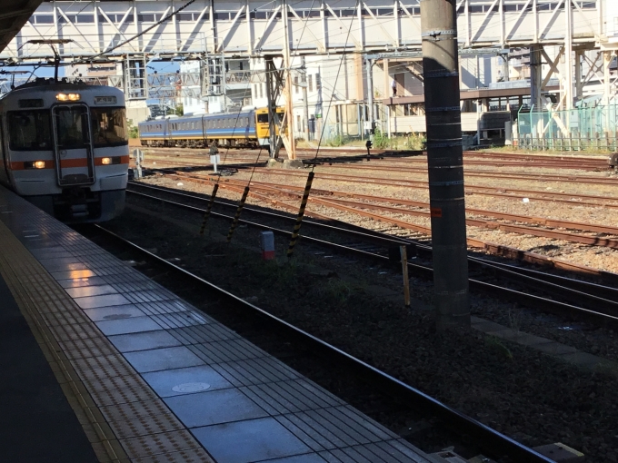 鉄道乗車記録の写真:乗車した列車(外観)(1)        「ドクター東海とオレンジちゃんコラボ」