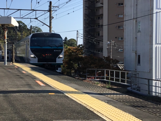 鉄道乗車記録の写真:列車・車両の様子(未乗車)(8)        「ニゴナナ君も撮れて良かったです」