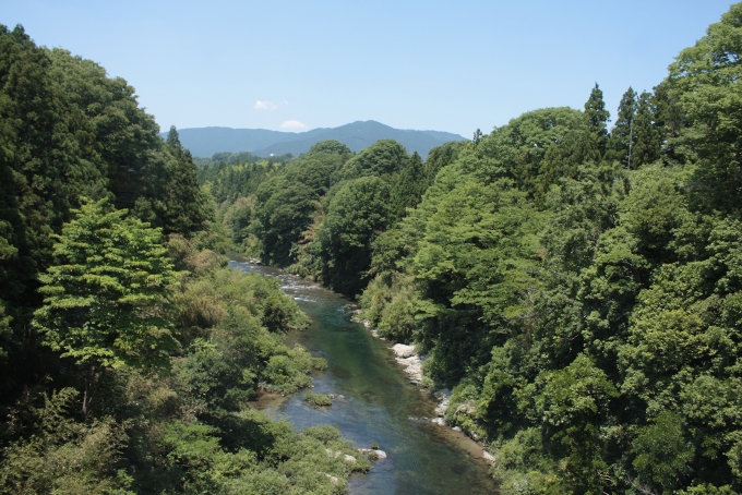 鉄道乗車記録の写真:車窓・風景(4)        「鳥居～長篠城の豊川」