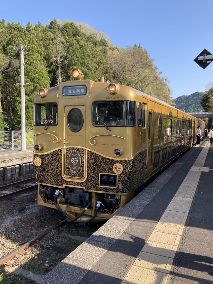 鉄道乗車記録の写真:列車・車両の様子(未乗車)(1)          