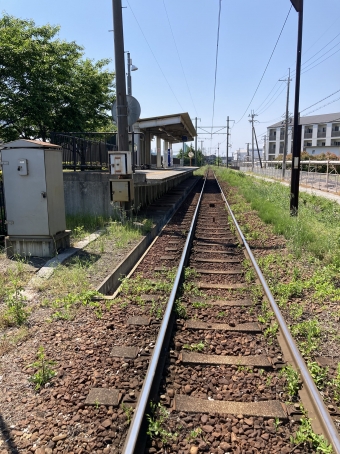 スクリーン駅から多賀大社前駅:鉄道乗車記録の写真