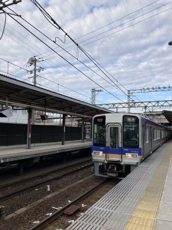 三日市町駅から橋本駅の乗車記録(乗りつぶし)写真