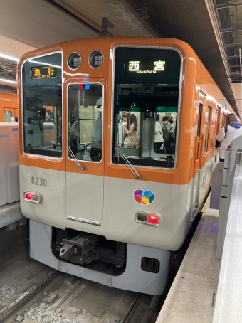 大阪梅田駅から武庫川駅の乗車記録(乗りつぶし)写真