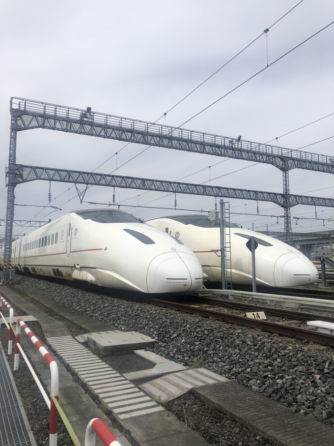 鉄道乗車記録の写真:列車・車両の様子(未乗車)(19)        「熊本総合車両所（JR九州イベント）」