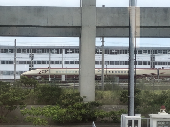 鉄道乗車記録の写真:列車・車両の様子(未乗車)(4)        「熊本総合車両所に長崎新幹線フリーゲージトレイン停車していました。」