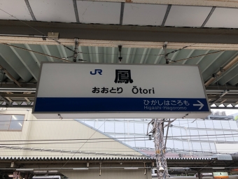 鳳駅から東羽衣駅の乗車記録(乗りつぶし)写真