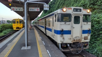 枕崎駅から南鹿児島駅の乗車記録(乗りつぶし)写真