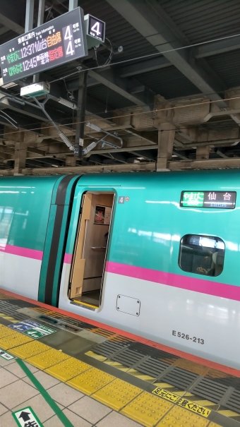 大宮駅から那須塩原駅の乗車記録(乗りつぶし)写真