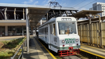 高知駅前停留場から知寄町停留場の乗車記録(乗りつぶし)写真