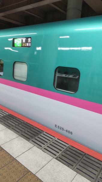 一ノ関駅から上野駅の乗車記録(乗りつぶし)写真