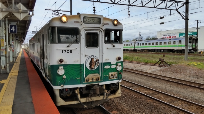 鉄道乗車記録の写真:乗車した列車(外観)(1)          「奥にキハ１４３形が見えるように撮りました。」