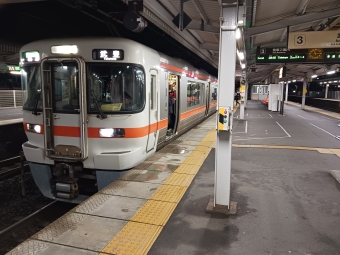 大府駅から半田駅の乗車記録(乗りつぶし)写真