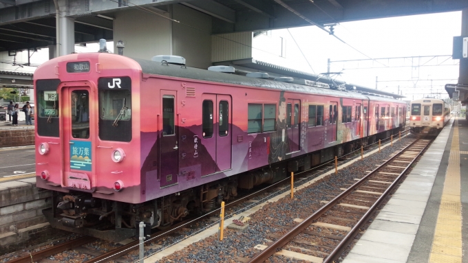 鉄道乗車記録の写真:乗車した列車(外観)(3)        「朝に橋本駅で撮ってた、旅万葉仕様です。」