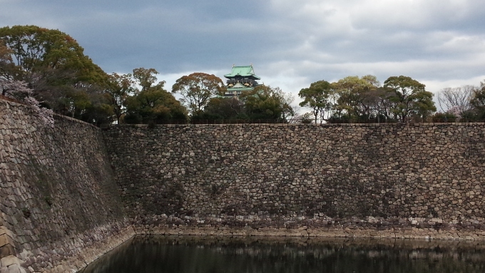 鉄道乗車記録の写真:旅の思い出(3)        「大阪城の桜です。」