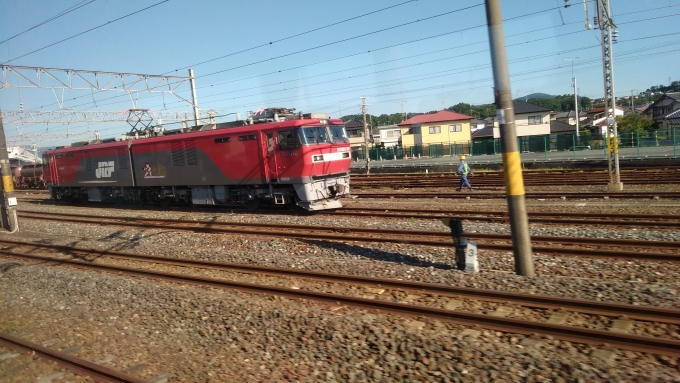 鉄道乗車記録の写真:列車・車両の様子(未乗車)(4)        「安中貨物列車のEH500形です。」