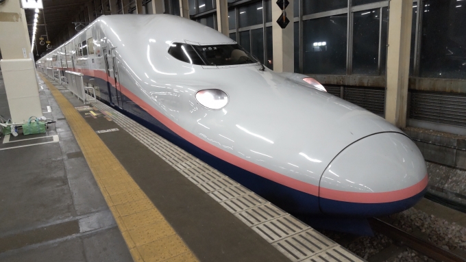 鉄道乗車記録の写真:乗車した列車(外観)(2)        「越後湯沢　高崎まで回送」
