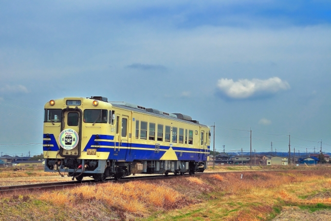 鉄道乗車記録の写真:列車・車両の様子(未乗車)(11)        「キハ40形デビューのヘッドマーク。
３往復運行しました。」