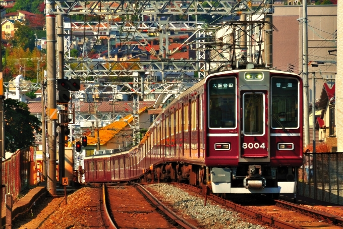鉄道乗車記録の写真:乗車した列車(外観)(1)        「乗車した列車。8004Fです。」