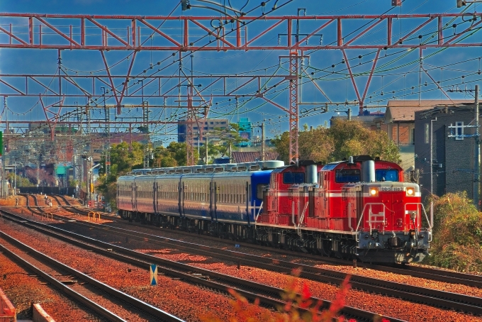 鉄道乗車記録の写真:列車・車両の様子(未乗車)(2)        「JR神戸線　甲南山手～摂津本山間にて。阪急岡本駅から歩いて20分のポイントです。網干訓練。DD51 1183とDD51 1109の重連が12系5両をけん引きします。
」