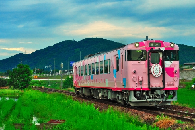 鉄道乗車記録の写真:列車・車両の様子(未乗車)(4)        「SAKU美SAKU美。」