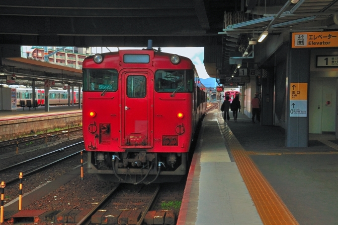 鉄道乗車記録の写真:乗車した列車(外観)(6)        「乗車した列車。キハ47 149です。」