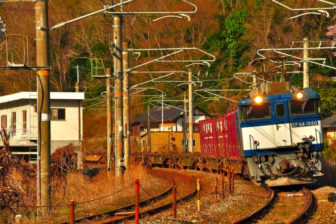 鉄道乗車記録の写真:旅の思い出(1)        「貨物列車。」