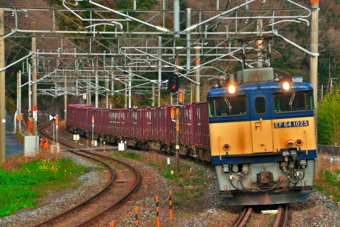 鉄道乗車記録の写真:旅の思い出(5)        「貨物列車。」