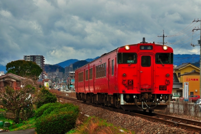 鉄道乗車記録の写真:列車・車両の様子(未乗車)(3)        
