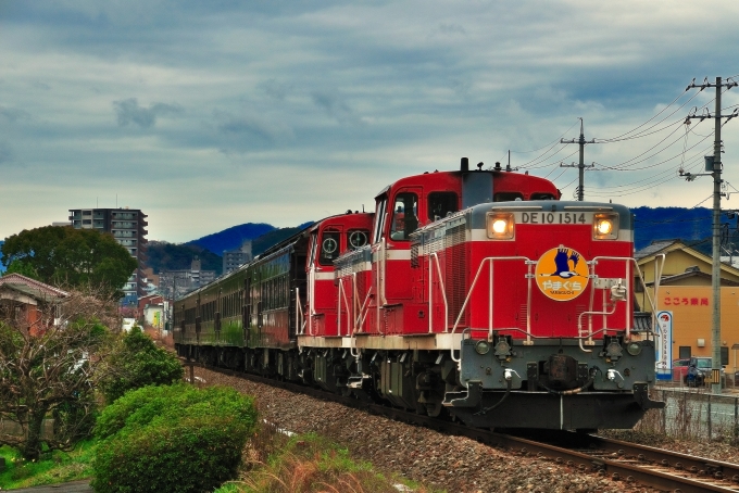 鉄道乗車記録の写真:列車・車両の様子(未乗車)(4)        「DLやまぐち号。」