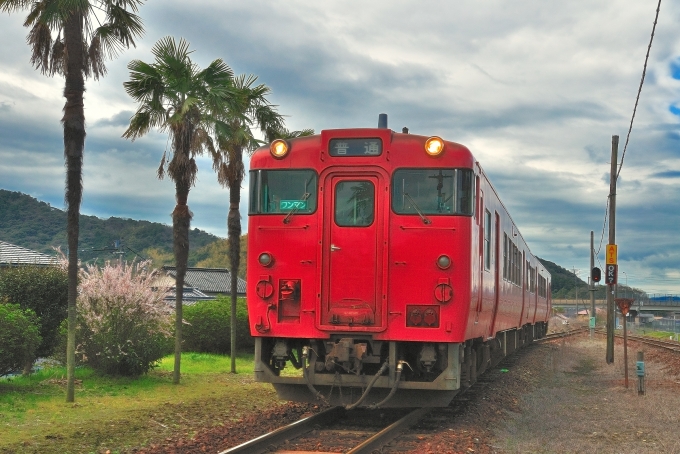 鉄道乗車記録の写真:乗車した列車(外観)(2)        「乗車した列車。キハ47 109です。」