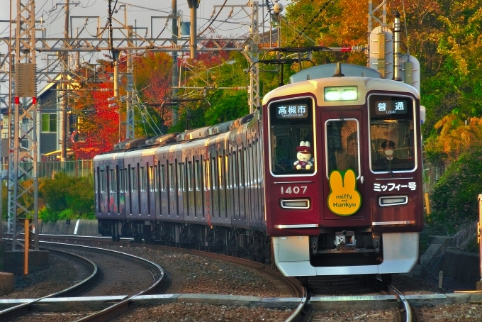 鉄道乗車記録の写真:列車・車両の様子(未乗車)(1)          「ミッフィー号。」