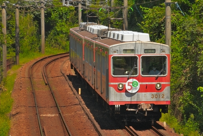 鉄道乗車記録の写真:乗車した列車(外観)(1)          「乗車した列車。3012Fです。」