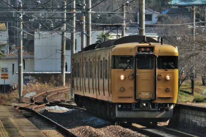 鉄道乗車記録の写真:列車・車両の様子(未乗車)(3)        「115系ローカル。」