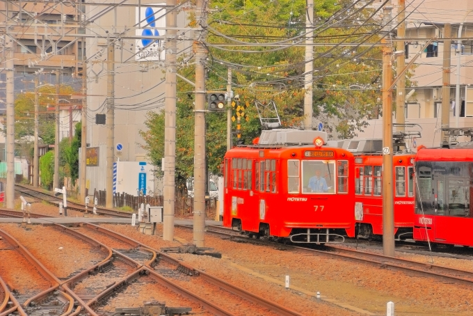 鉄道乗車記録の写真:列車・車両の様子(未乗車)(4)        「路面電車。」