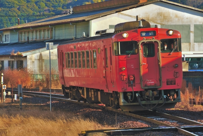 鉄道乗車記録の写真:乗車した列車(外観)(1)        「乗車した列車。キハ40 2096です。」